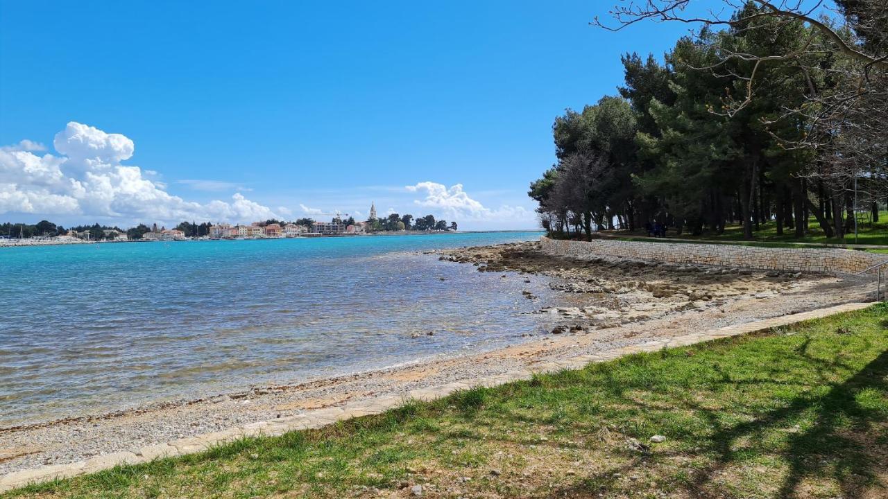 Apartments Kivi Novigrad (Istria) Exterior foto