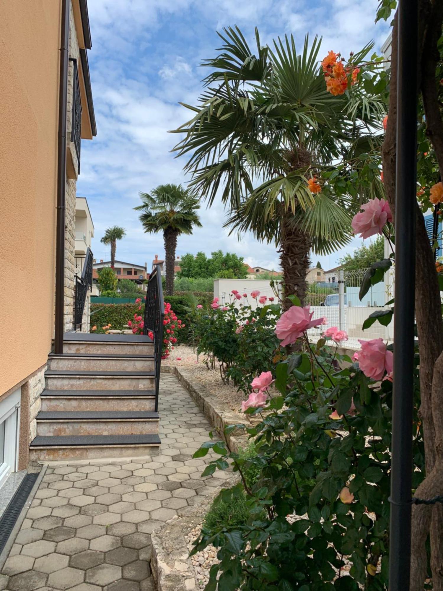 Apartments Kivi Novigrad (Istria) Exterior foto