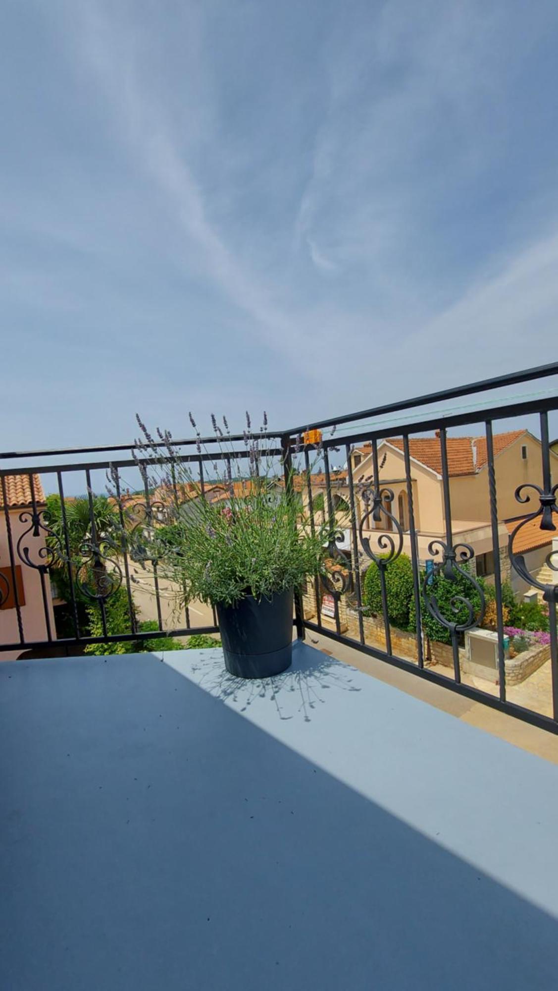 Apartments Kivi Novigrad (Istria) Exterior foto